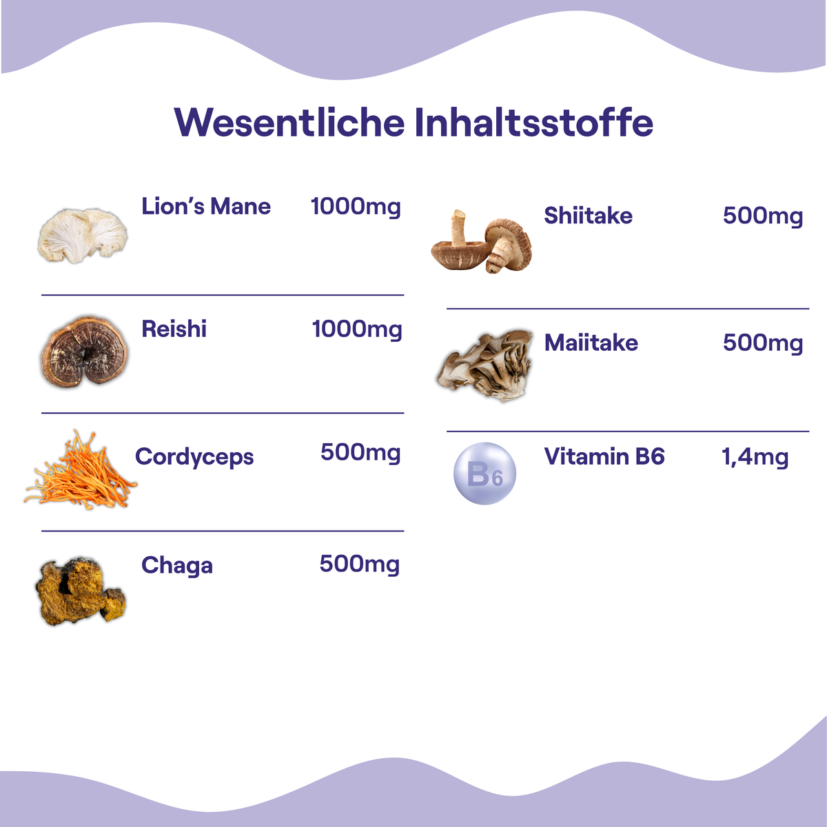 Lion's Mane en andere mushrooms in VGNMY