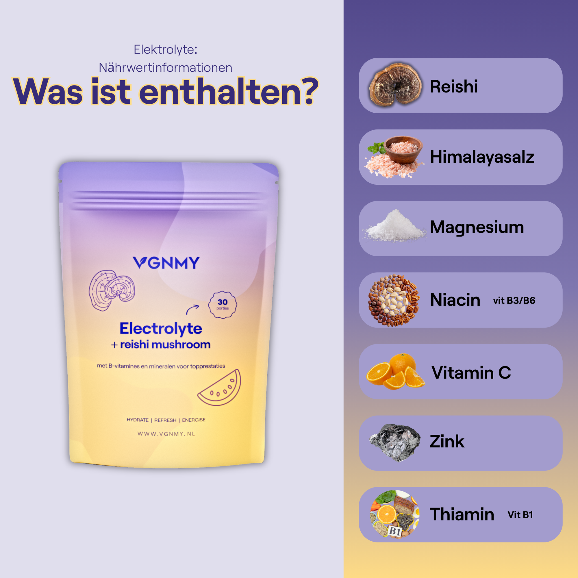 Electrolyte + Reishi Mushroom
