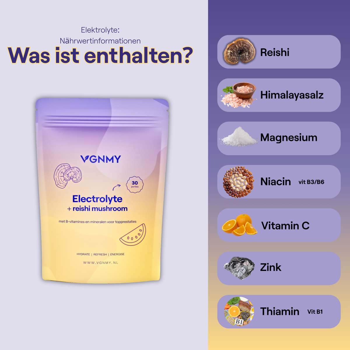 Electrolyte + Reishi Mushroom