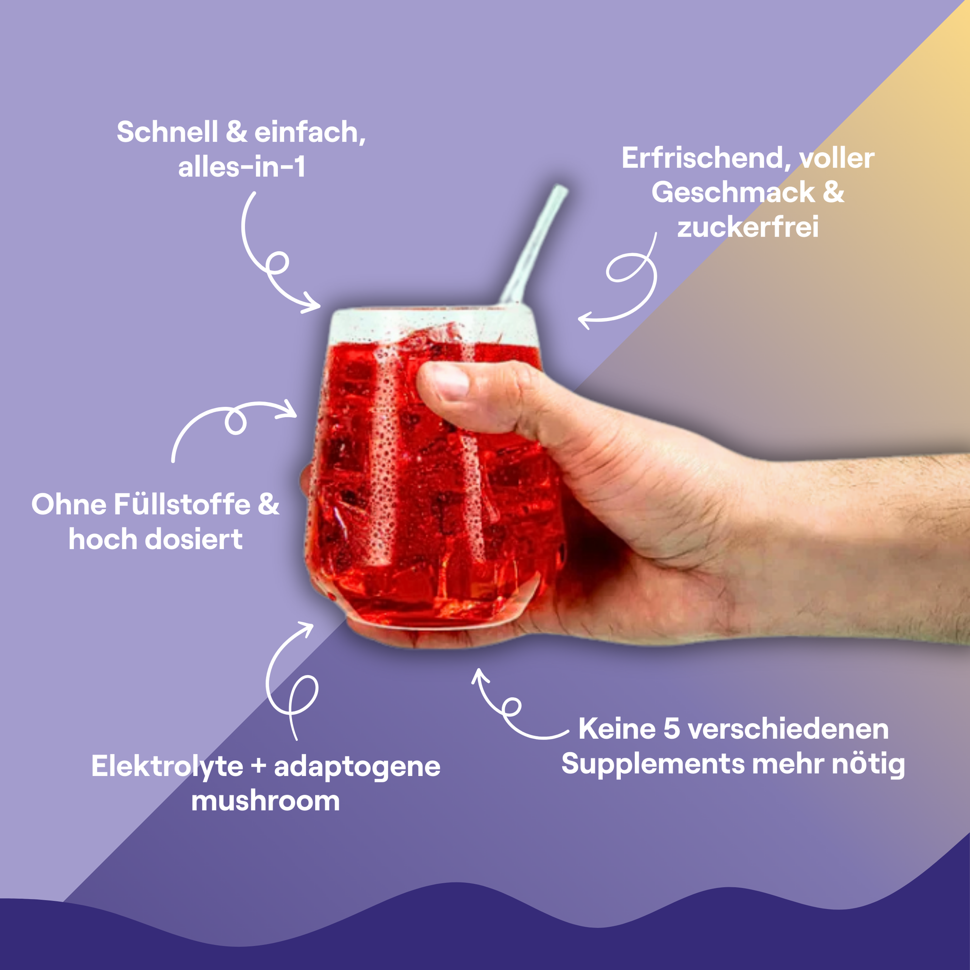 Electrolyte + Reishi Mushroom