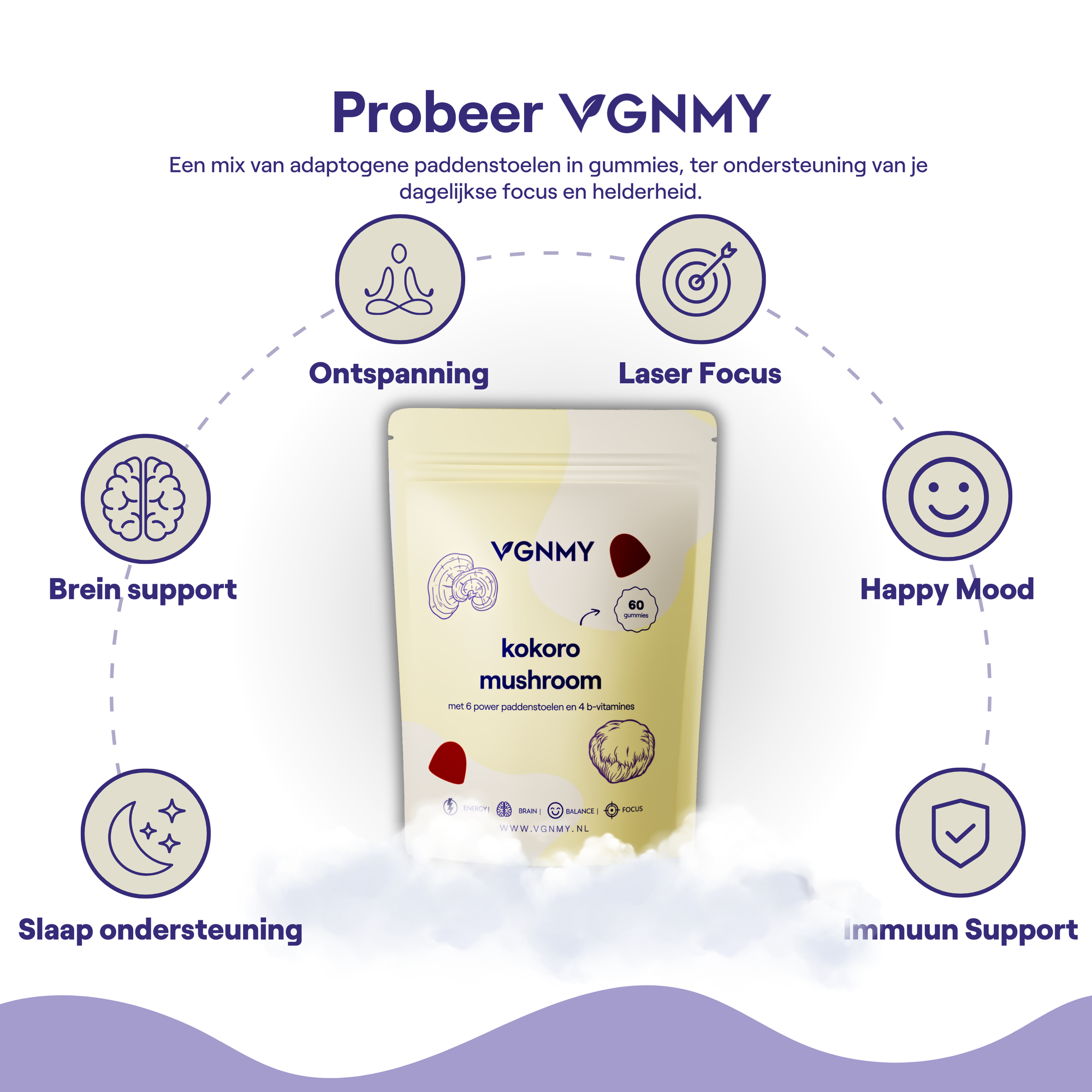 Kokoro-Pilz-Abonnement