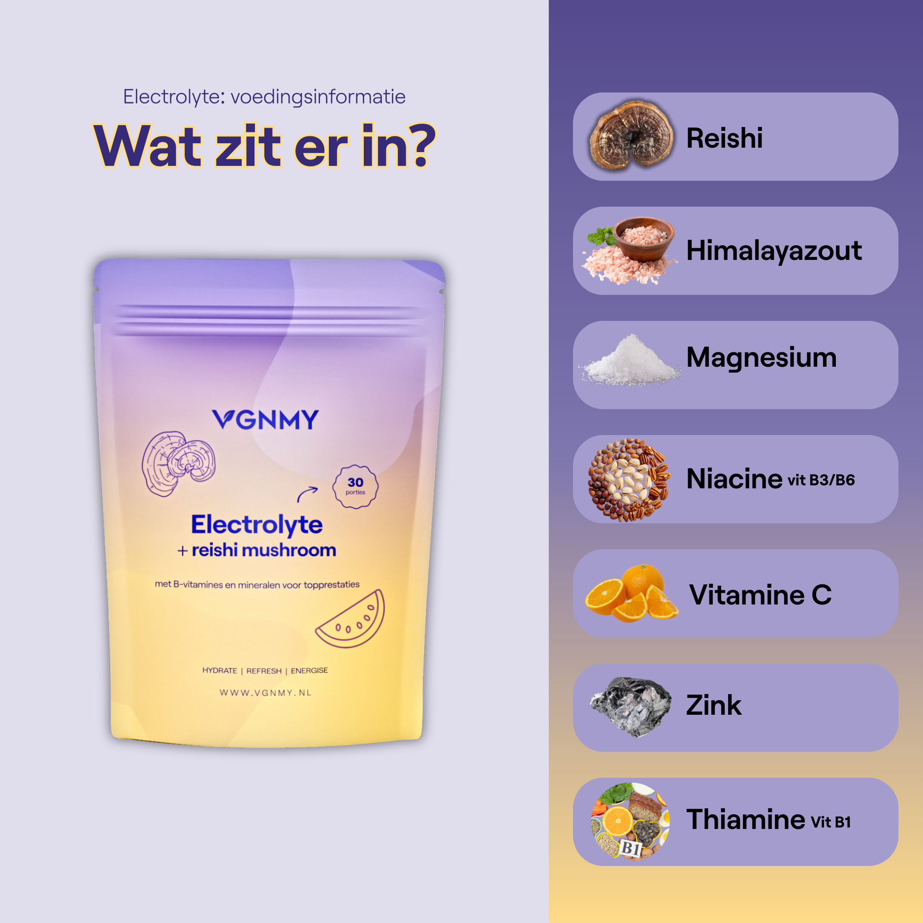 Elektrolyte + Reishi-Pilz