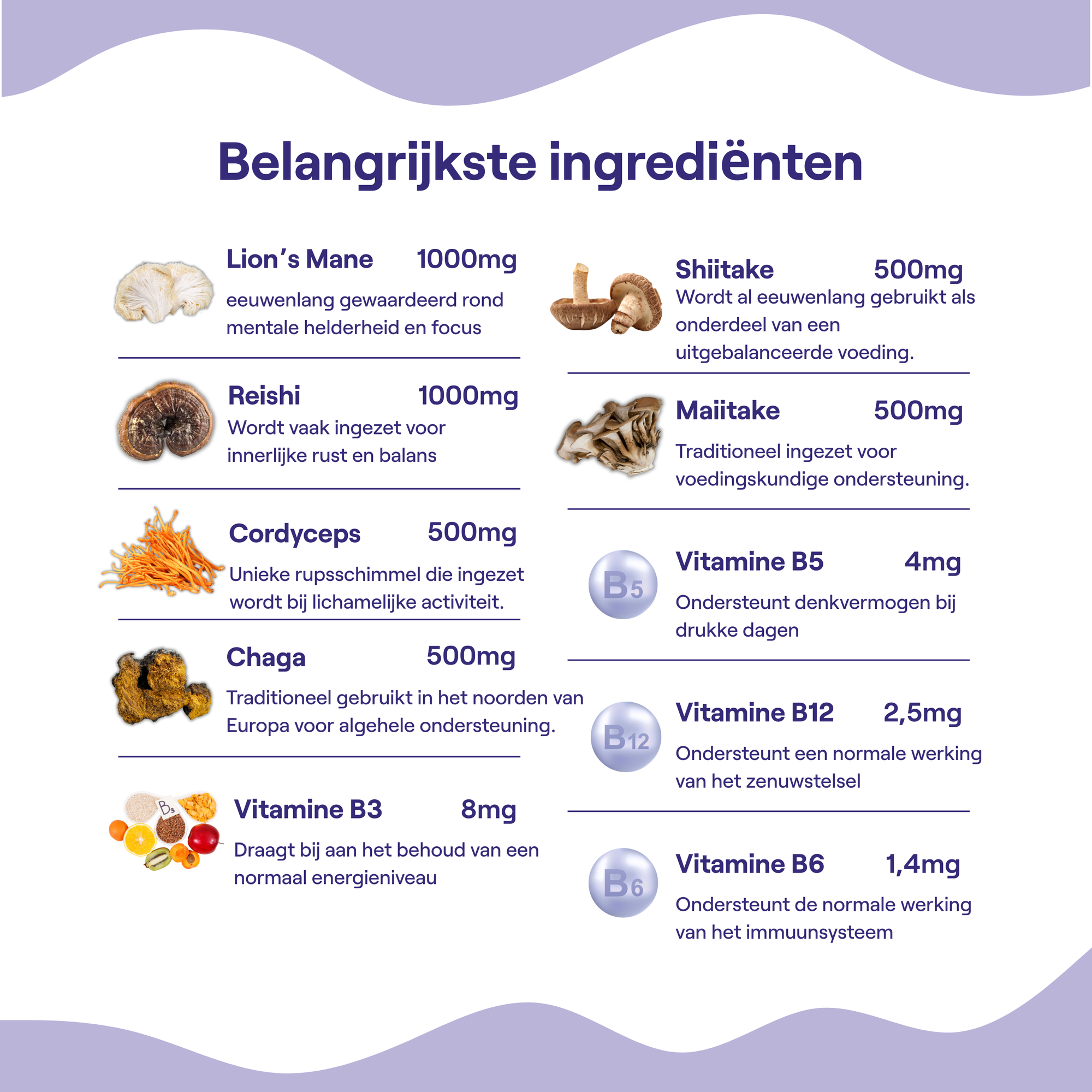 Kokoro-Pilz-Abonnement