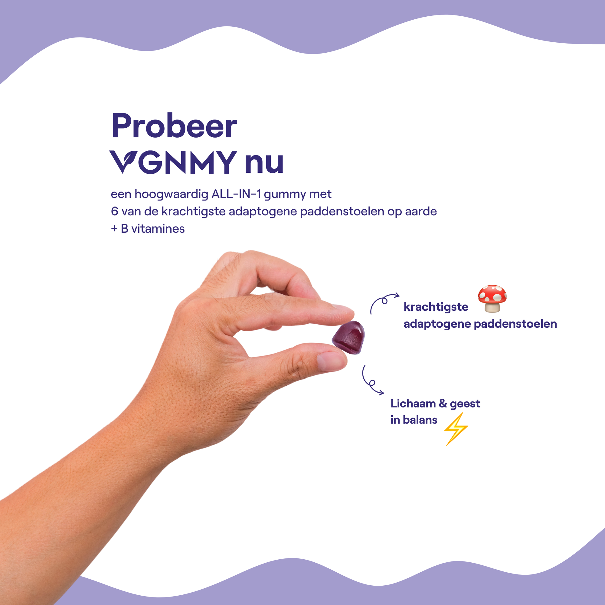 Kokoro-Pilz-Abonnement