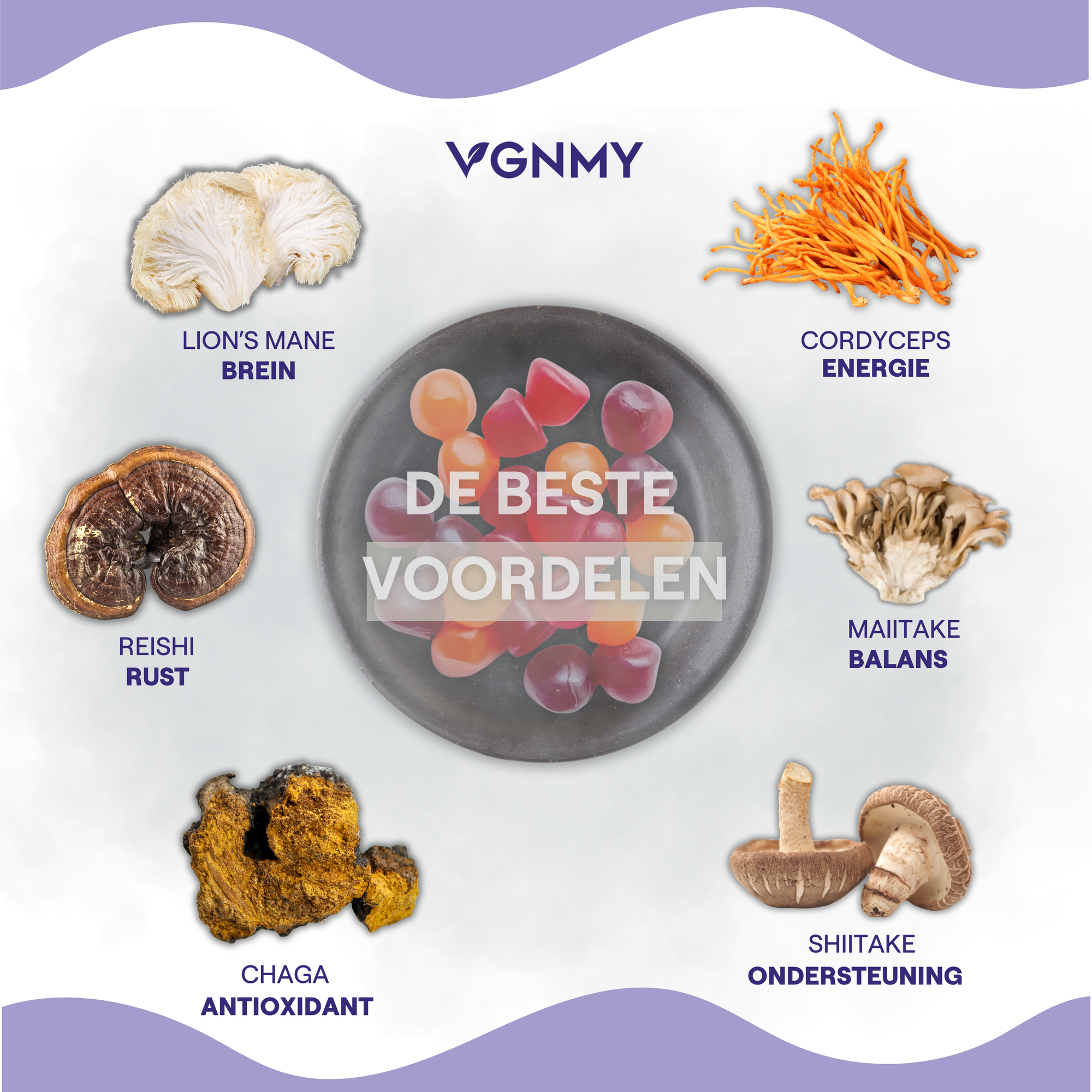 Kokoro-Pilz-Abonnement